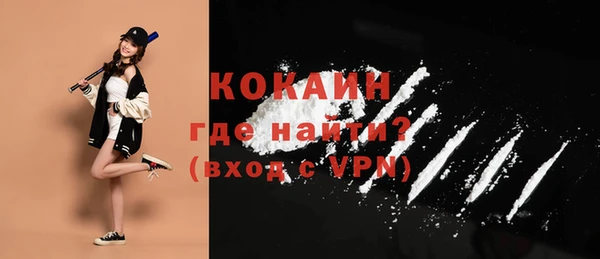ешки Няндома