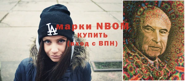 ешки Няндома